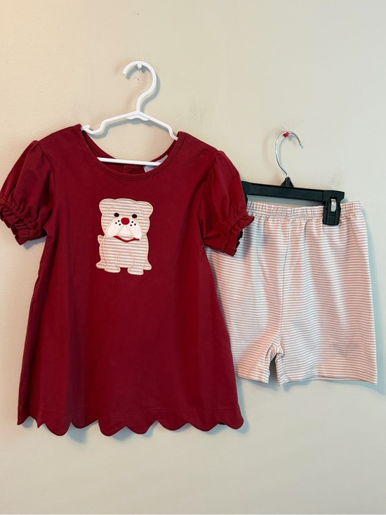 Ishtex Other - Ishtex Maroon Dog Top with Matching Shorts